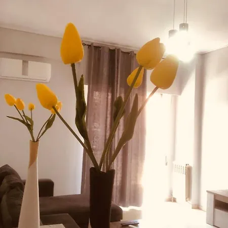 Comfortable In Apartment *